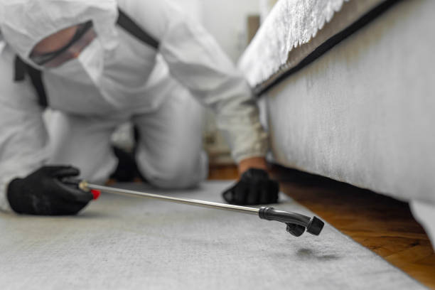 Professional Bed Bug Control technician working in Brewster Heights, NY